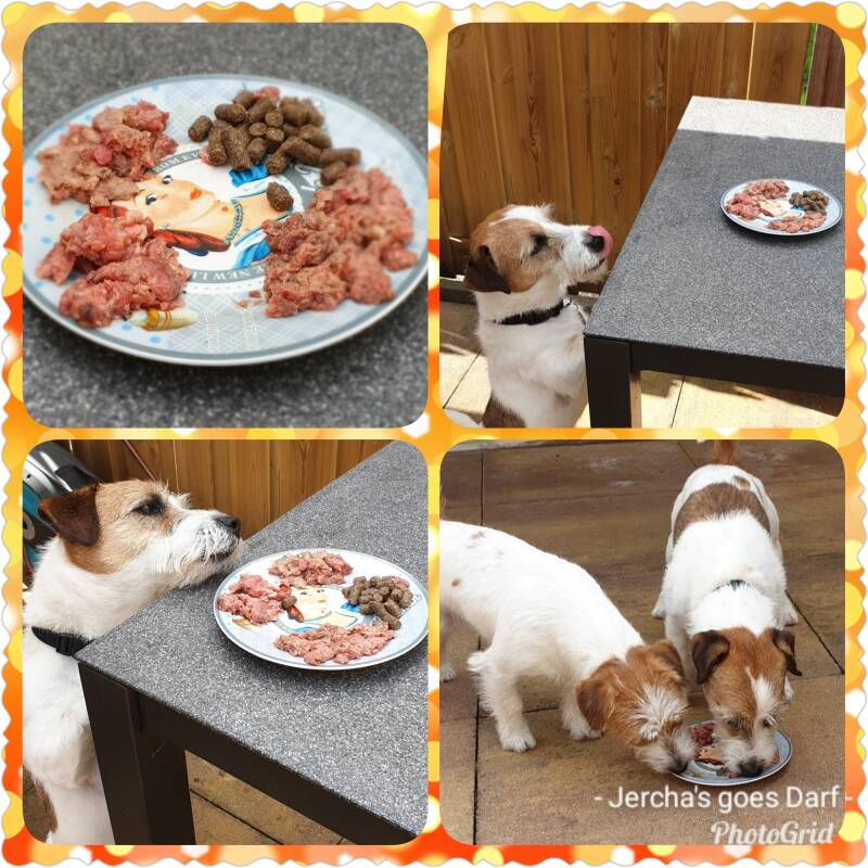 Verkooppunt DARF, DARF VOL