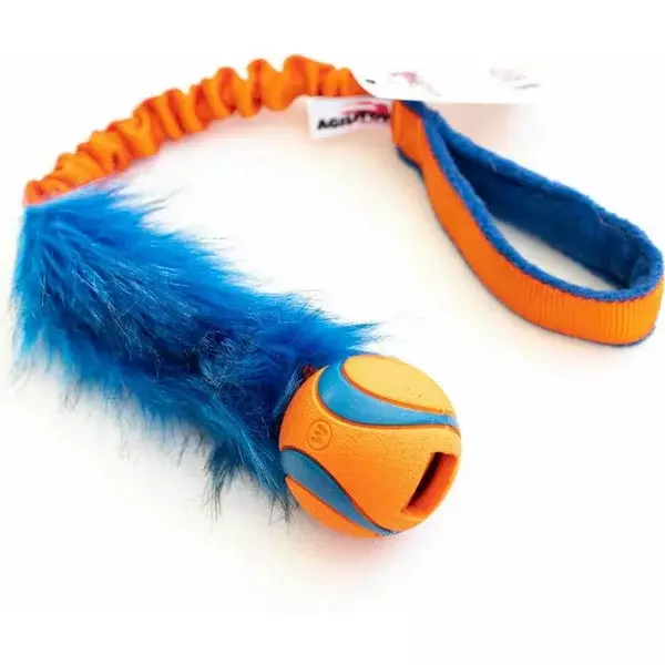 Honden-trekspeelgped-tug-tugtoy