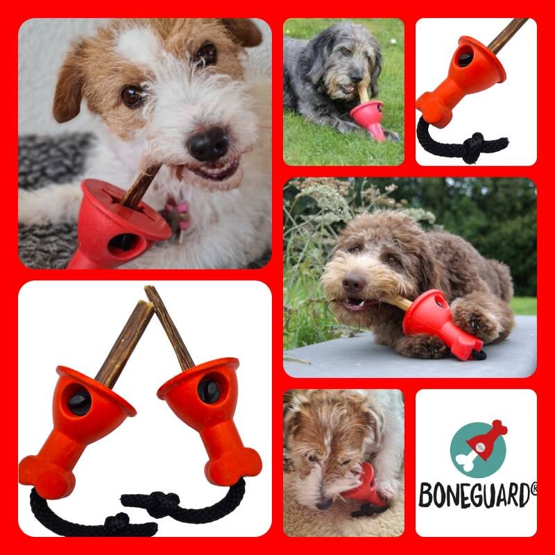 Boneguard, kluifhouder