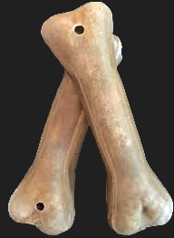 Boneguard  hondenkluif struisvogel, voorgeboord