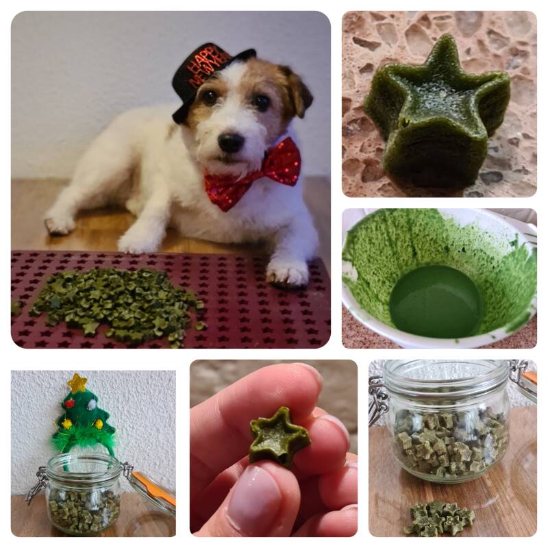 Just Jercha's Pets, Collory, hondenbakmat, hondenkoekjes