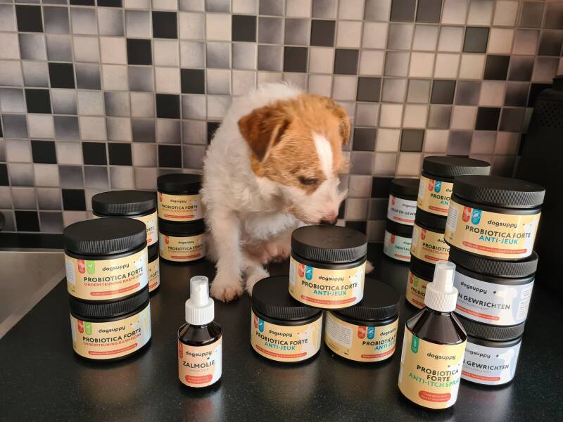 Dogsuppy, probiotica hond