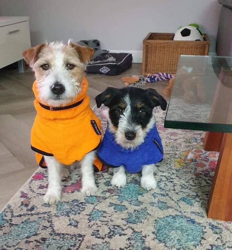 Just Jerchas Pets-Dryup-hondenbadjas