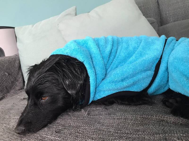 Just Jerchas Pets-Dryup-hondenbadjas