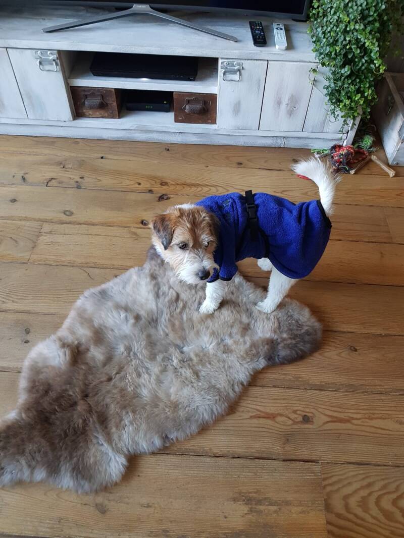 Just Jerchas Pets-Dryup-hondenbadjas