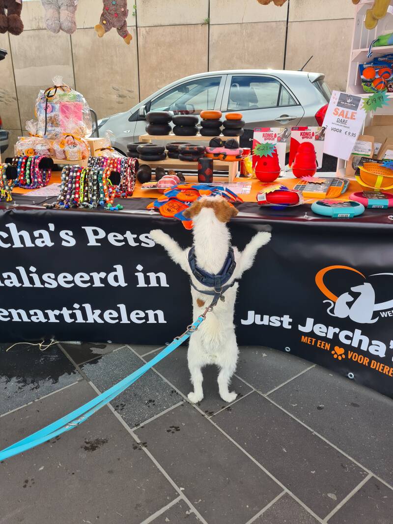 justjerchaspets-braderie-scheveningen