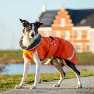 Just Jerchas Pets-pomppa-hondenjassen