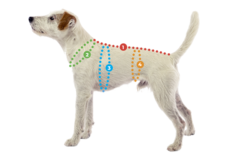 Maten-Pomppa-hondenjas