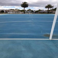 netball-after-5-standard-fdtbjv.jpg