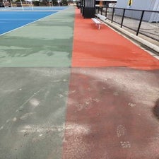 netball-during-standard.jpg
