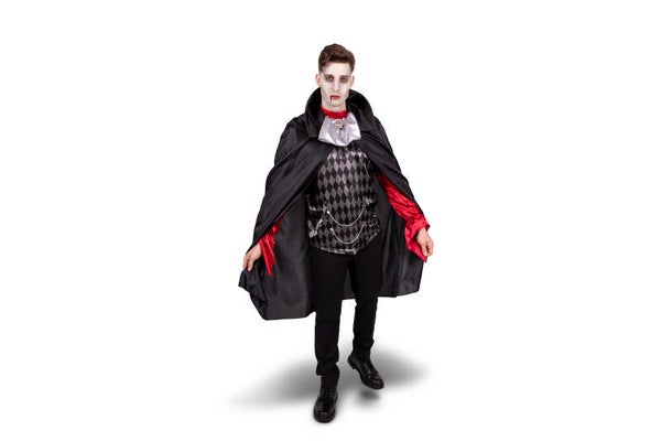 Dracula-asu, koko L–XL