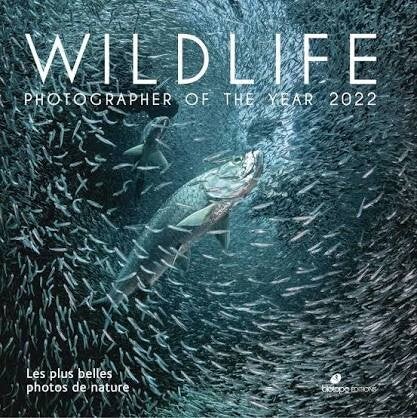 Wildlife Photographer of the Year 2022: Découvrez les plus belles ...