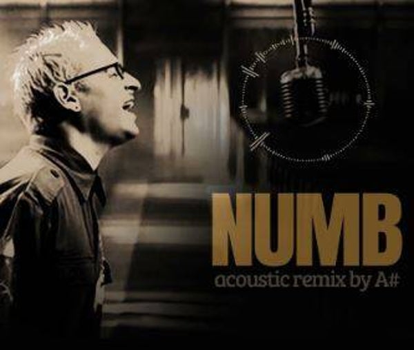 Numb (niveau débutant 2)