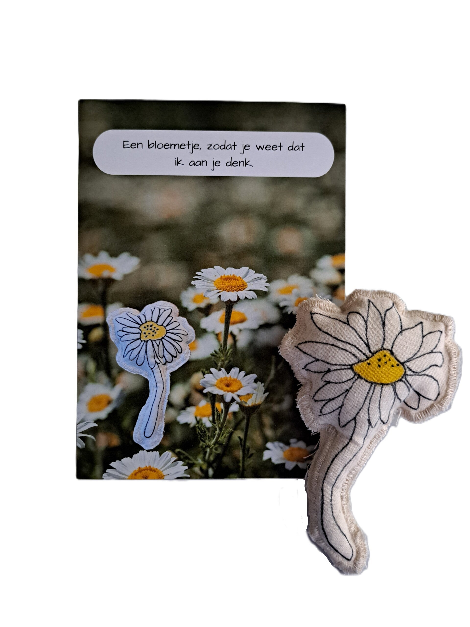 Kaart met duurzame madelief