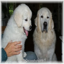 danuta_pup061009c.jpg