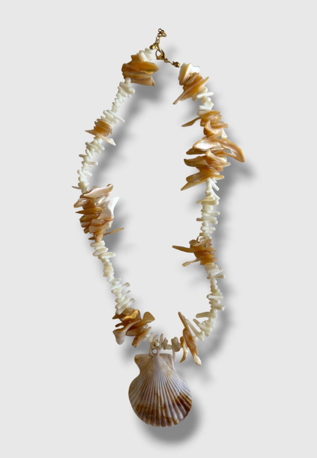 Seashell Dream