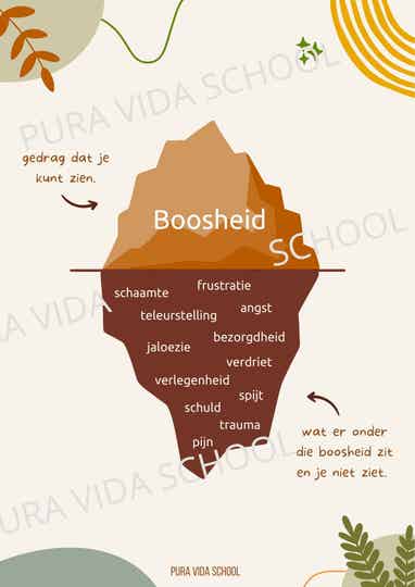 Poster boosheid en oorzaken