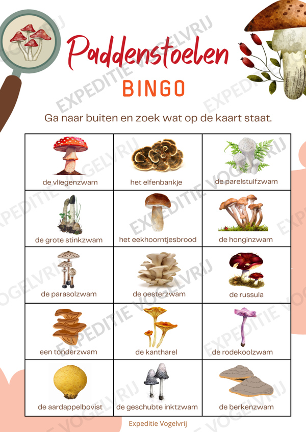 Paddenstoelenbingo