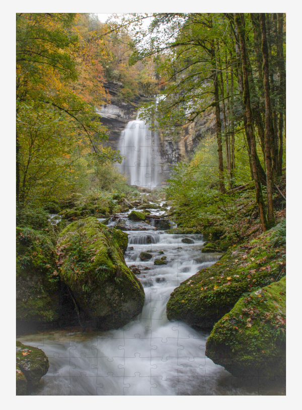 Le grand saut