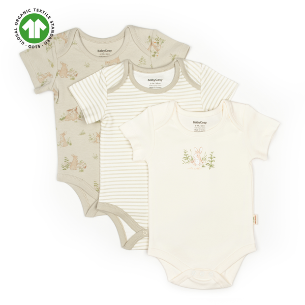 Organic Body 3 Stk. Kurzarm