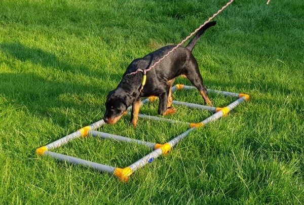 Loopladder
