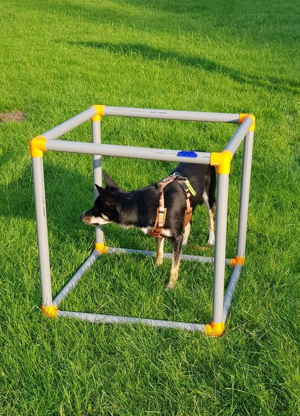 Adventure-cube