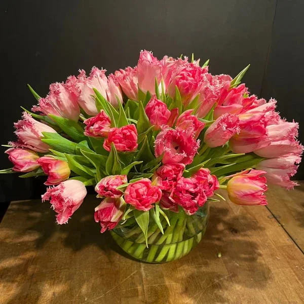 100 Tulips