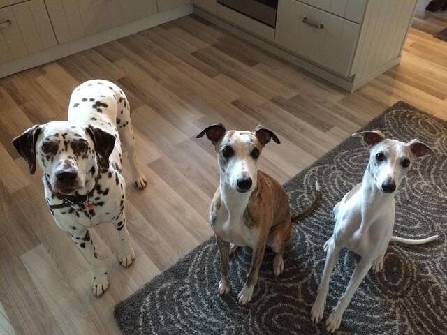 Den matglade trio