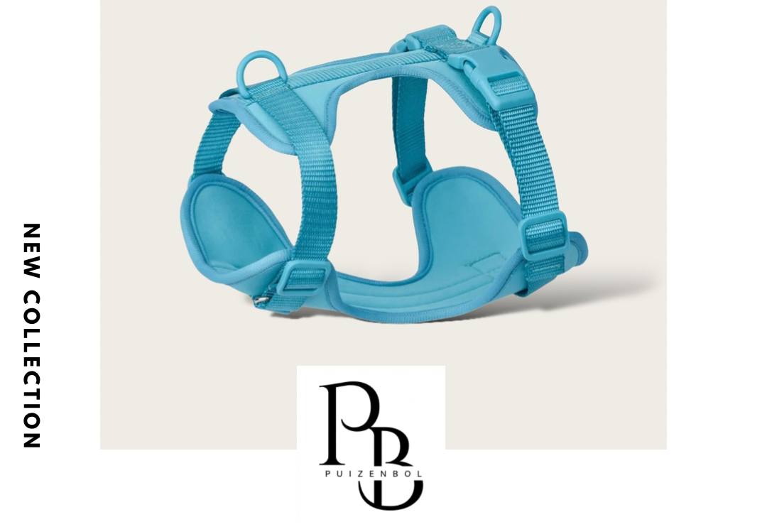 Tropical Tails ‘Oceans’