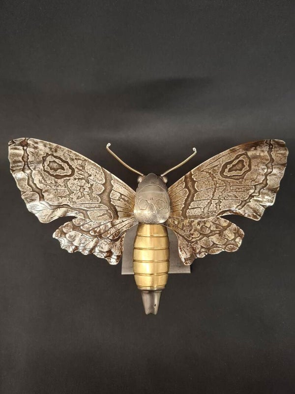 Sphinx tête de mort