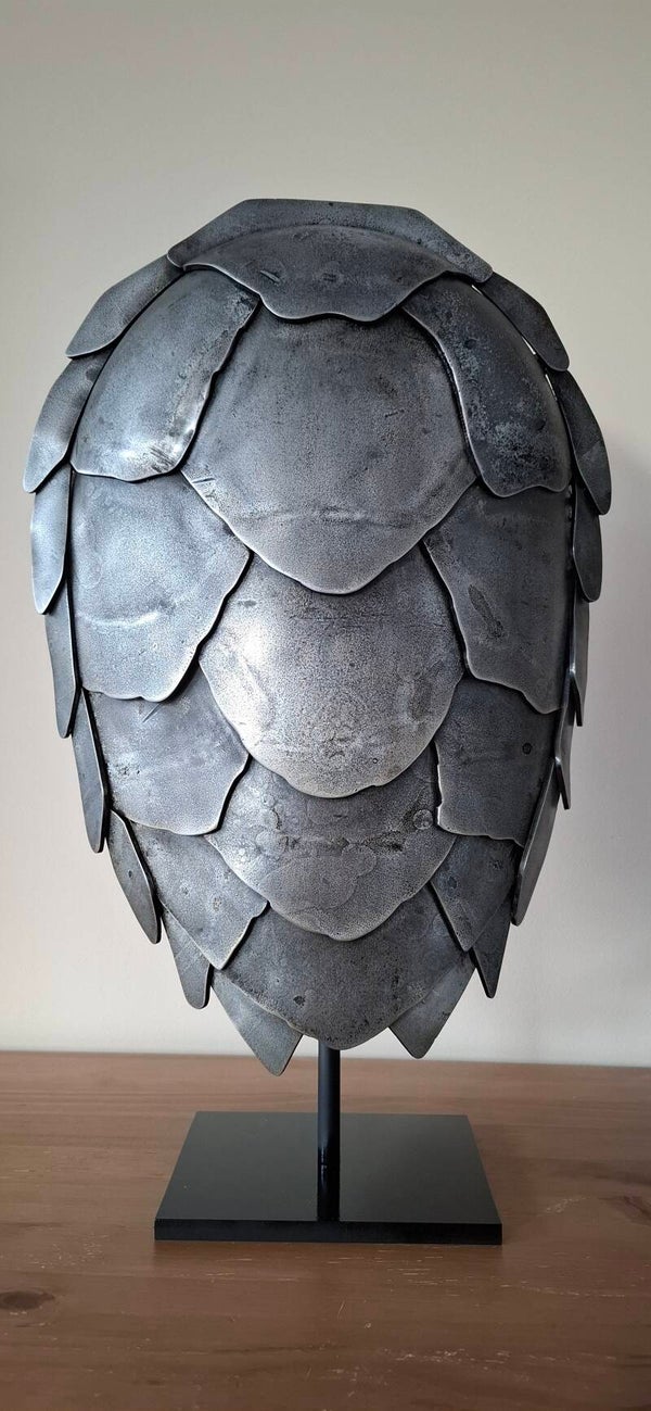 Carapace de tortue marine