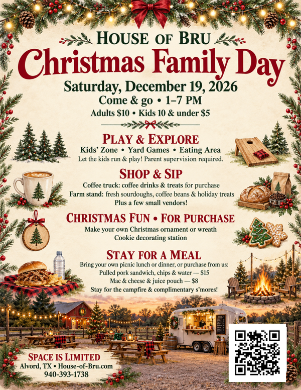 Dec 19th Christmas Family day adult ticket