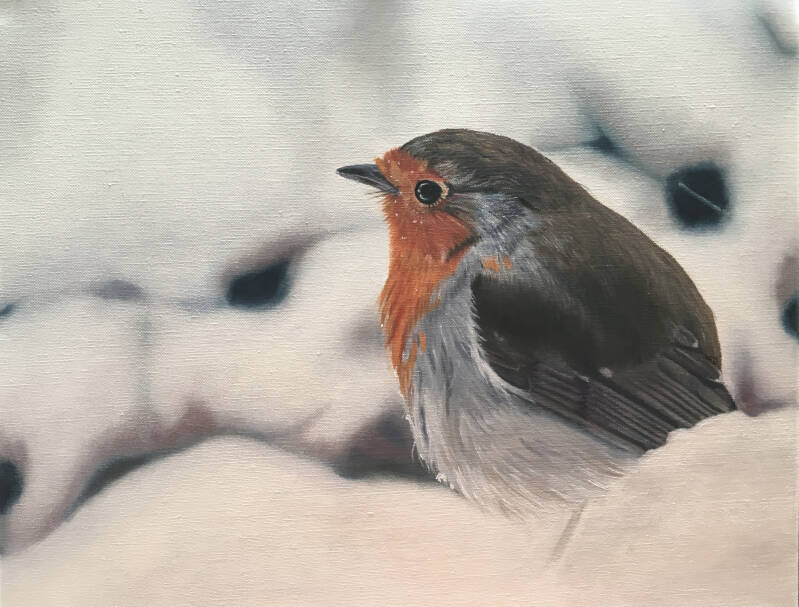 Roodborstje - Olieverf op doek - Inspiratie: foto van Willemien van Lenthe