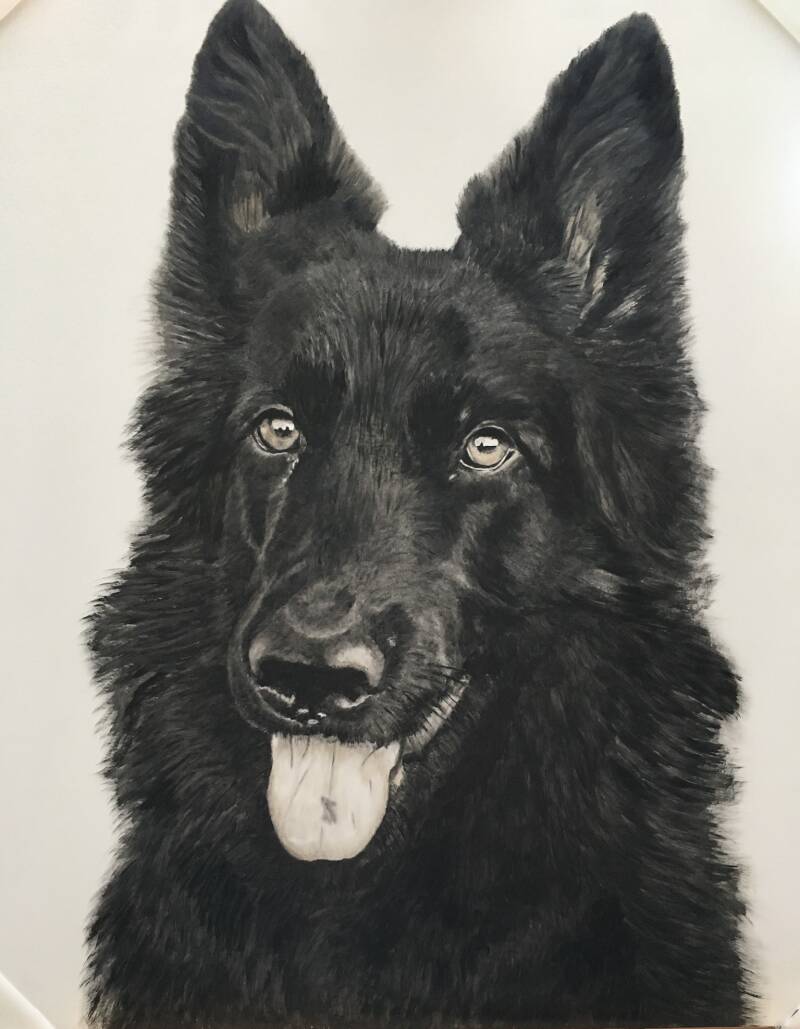 Hond van een collega - Olieverf op paneel