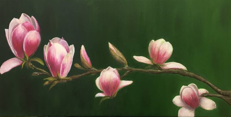 Magnolia&#039;s - Olieverf op doek