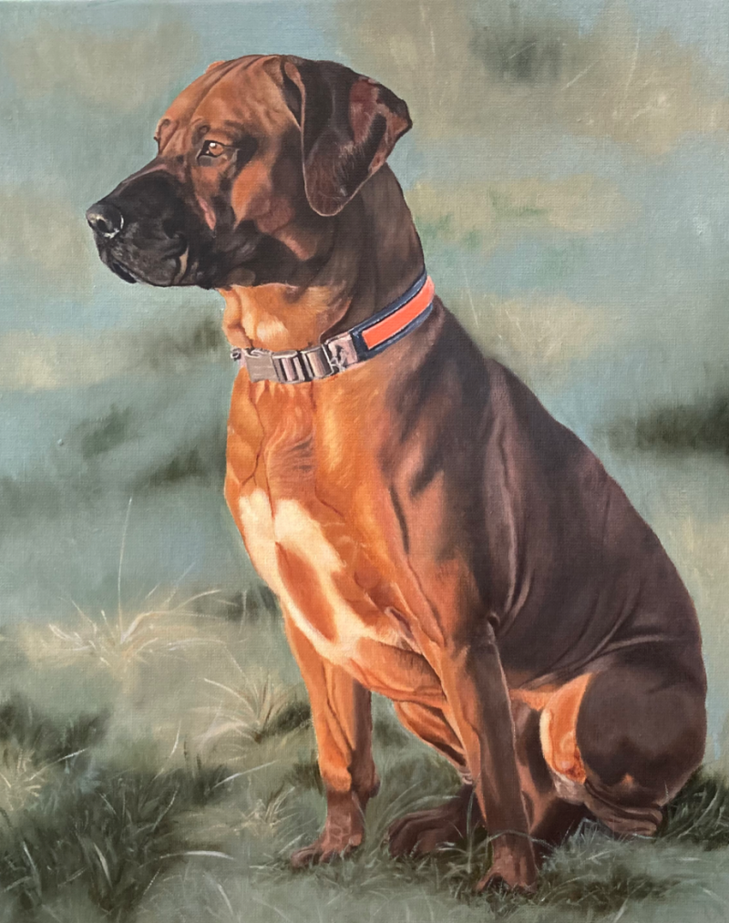 Indy - Olieverf op doek - In opdracht gemaakt