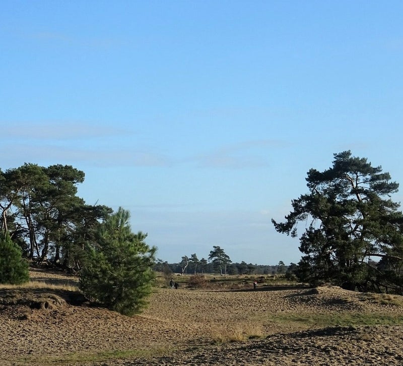Loonse en Drunense Duinen.