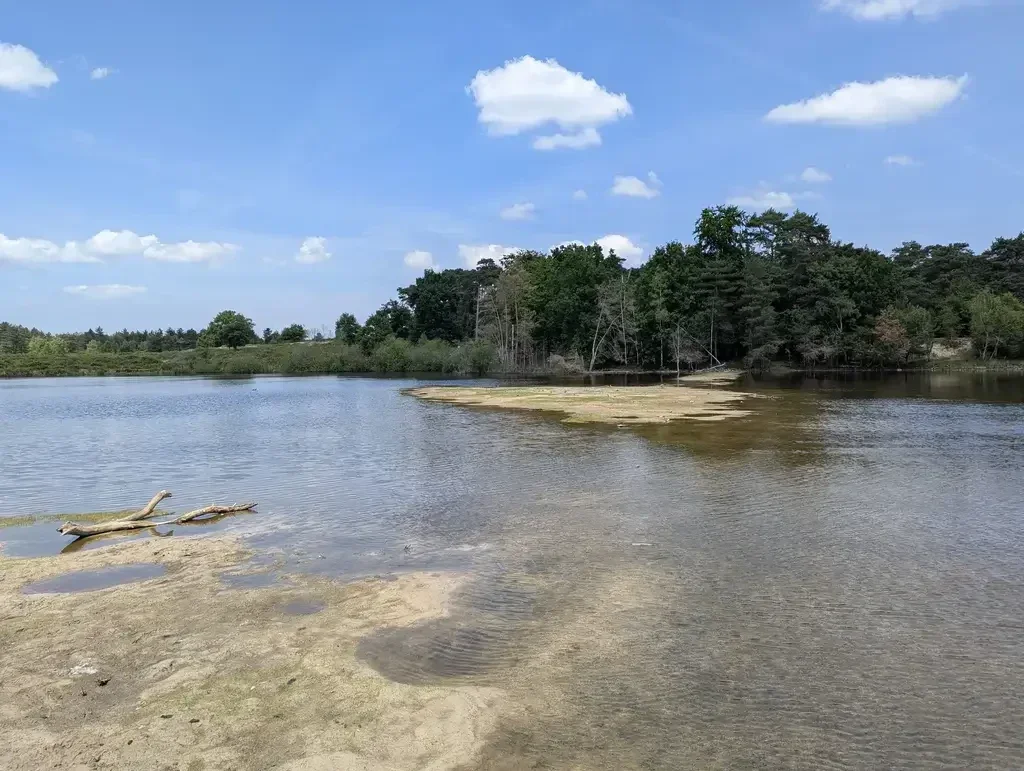Boswachterij Dorst is een mooie wandelroute langs de Leemputten. De Schotse Hooglanders lopen vrij rond in dit mooie natuurgebied.