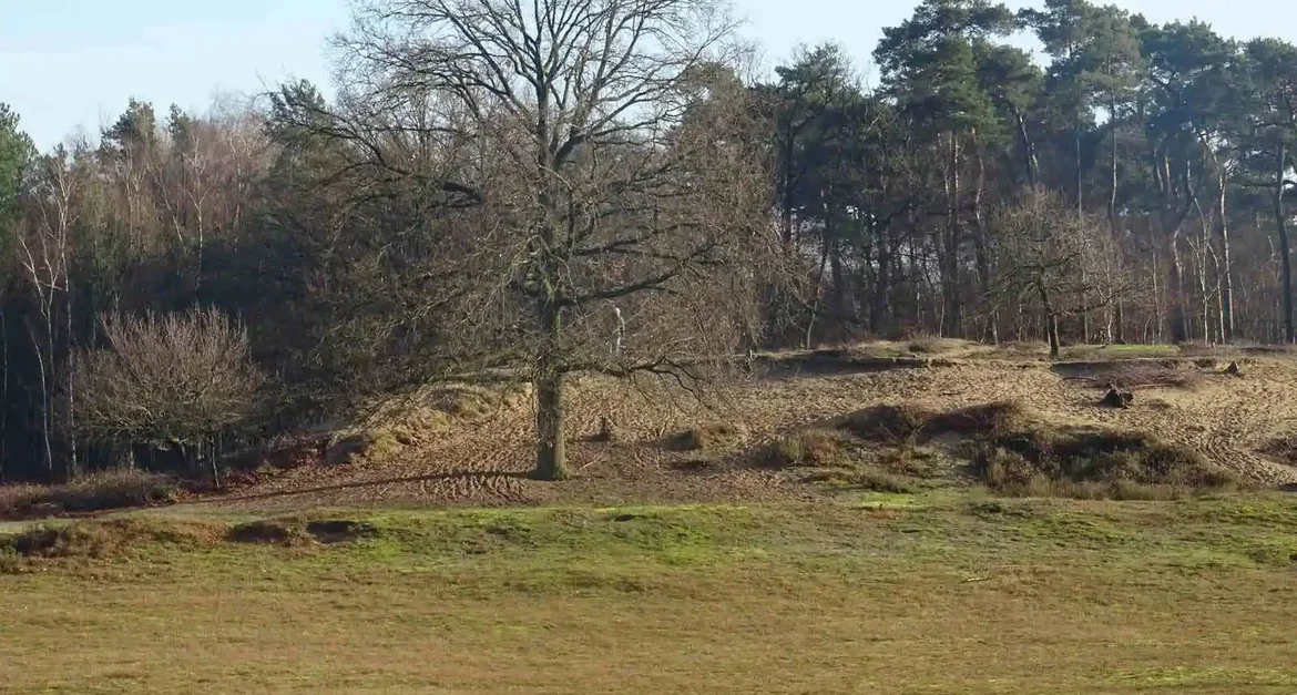 Boswachterij Dorst is een mooie wandeling langs de Leemputten. Wandelen naar de Leemputten tussen Oosterhout en Dorst.