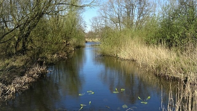 Kornse Boezemis een kleinschalig natuurgebied tussen Dussen en Almkerk.