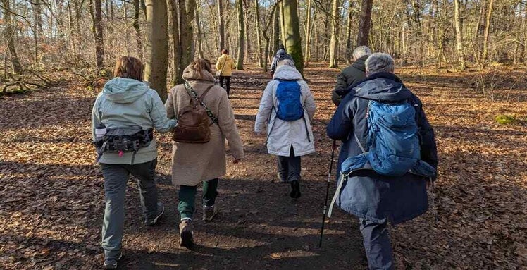 De mooiste groepswandelingen en wandelactiviteiten in Brabant. Groepswandelingen door heel Brabant. Wandelen in groepsverband.