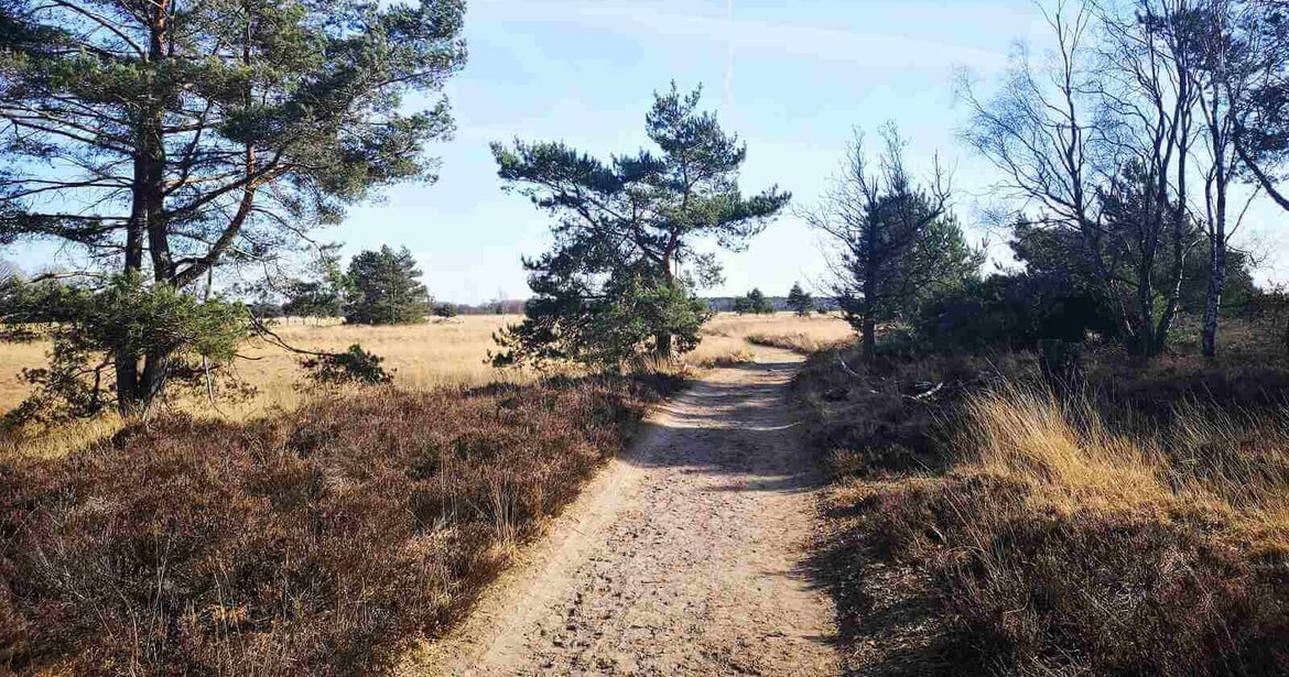 De Oude Hondsberg Oisterwijk. Wandelen door de Oisterwijkse Bossen en Vennen.