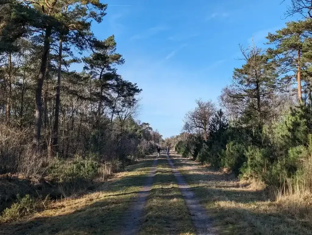 Groepswandeling zondag 4 oktober in Biest-Houtakker. Wandelroute door het buurtschap Driehuizen, De Gooren en Annanina's Rust. Groepswandeling door het Diessens Broek en langs het riviertje De Reusel.