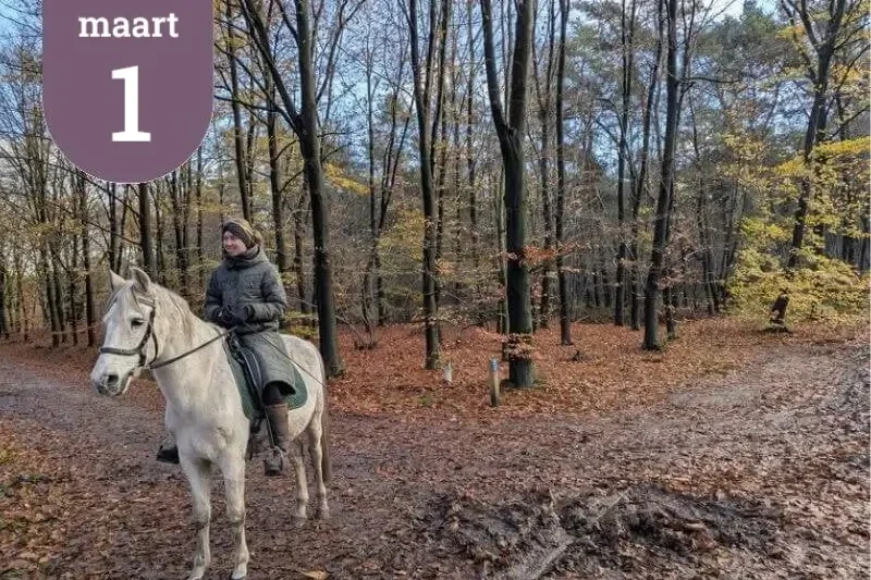 Groepswandeling zondag 1 maart in Chaam. Wandeltocht door de bossen van Chaam op zondag 1 maart 2026.