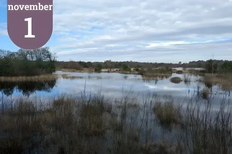 Wandelroute door de Oisterwijkse bossen en langs de mooiste sfeervolle vennen. 