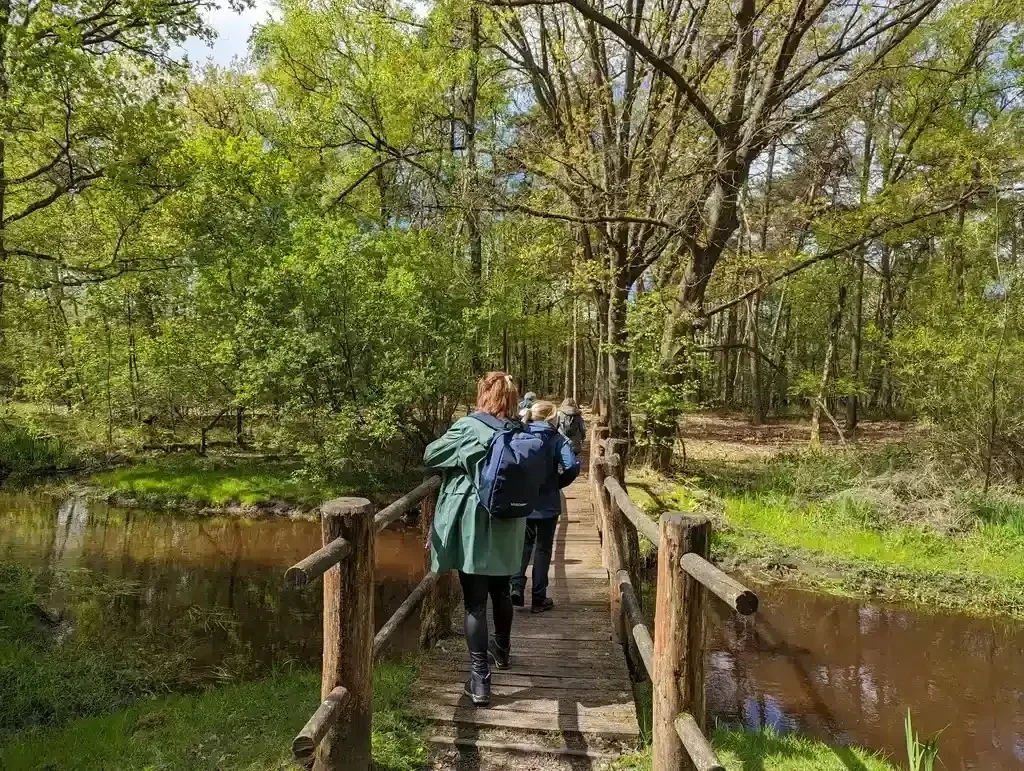Bijne iedere eerste zondag van de maand de mooiste groepswandelingen in de natuur.  De mooiste wandelactiviteiten door de Brabantse natuur. Groepswandelingen met een gezellig klein groepje enthousiaste wandelaars in Brabant.