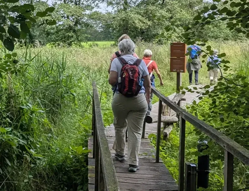 Wandelaars in de natuur tijdens een mooie en verrassende route.