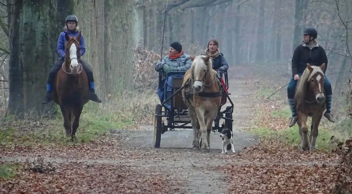 Wandelroute Houtse Heuvelpad Den Hout. Wandelroute vanuit het brinkdorp Den Hout. Wandelen Vrachelse Heide.