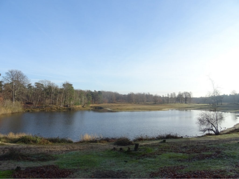 Wandelen langs de Leemputten met  mooie  verschillende prachtige vennen. Wandelen in Boswachterij Dorst.
