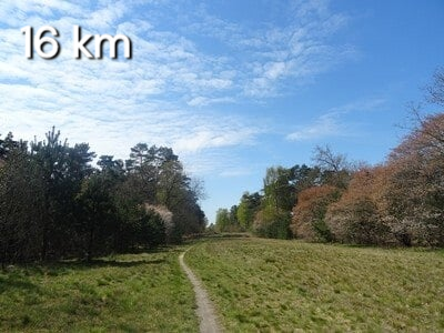 Groepswandeling in Alphen. De wandelroute Alphense Bergen start vanuit recreatieplas 't Zand.